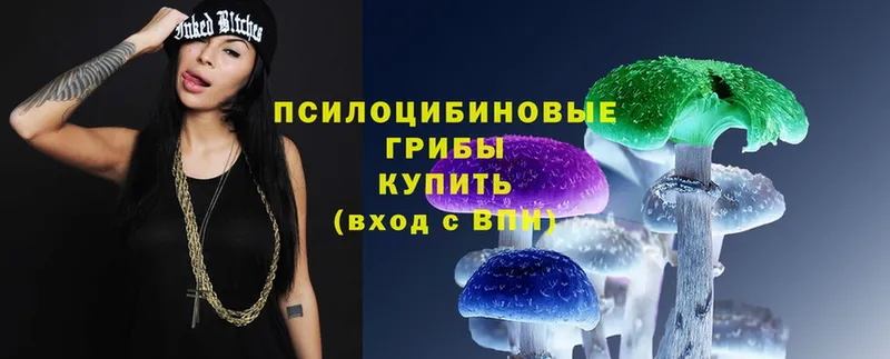 Галлюциногенные грибы Magic Shrooms  Белёв 